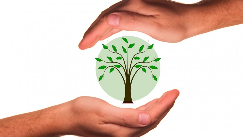 Que es la agricultura ecológica?