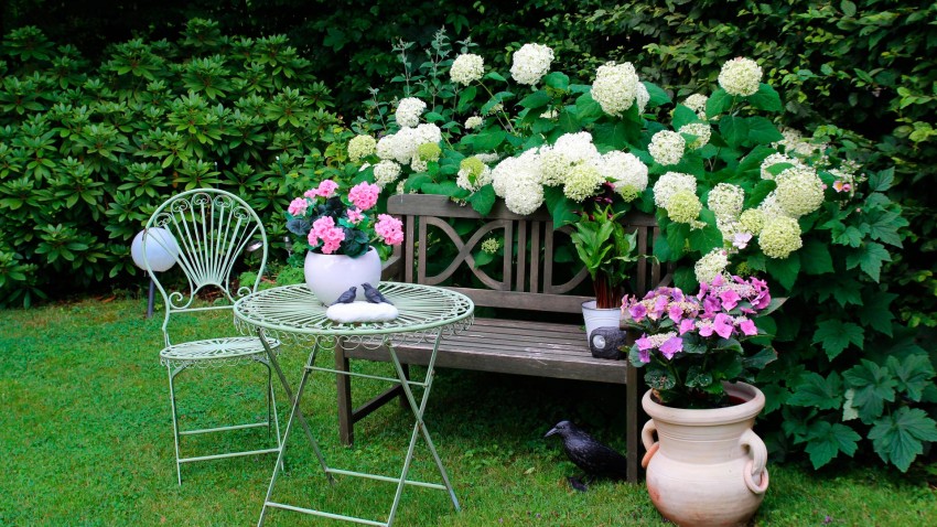 Cuidados del jardín en Otoño