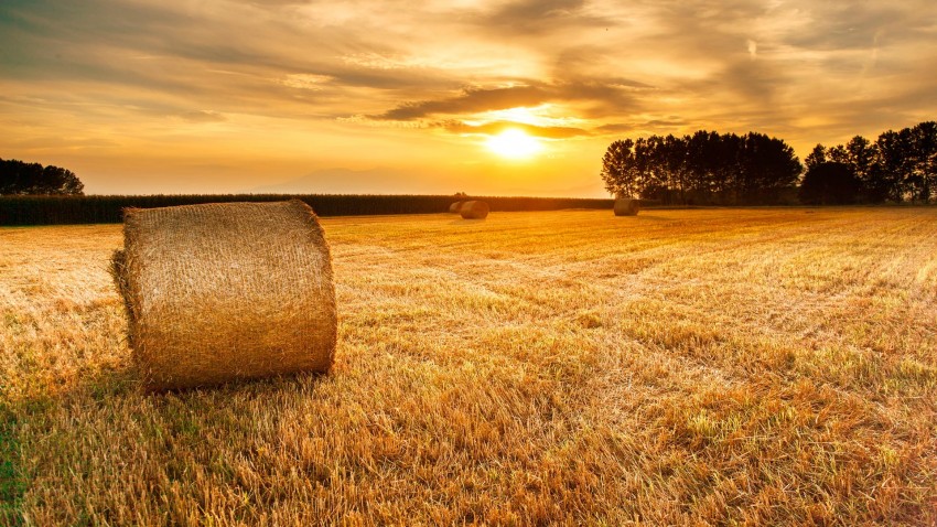 Plan PIMA para la compra de maquinaria agrícola