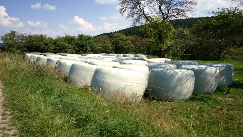 Silos de hierba cómo tener una buena conservación