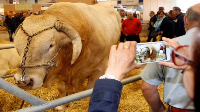 Silleda, empieza la Semana Verde