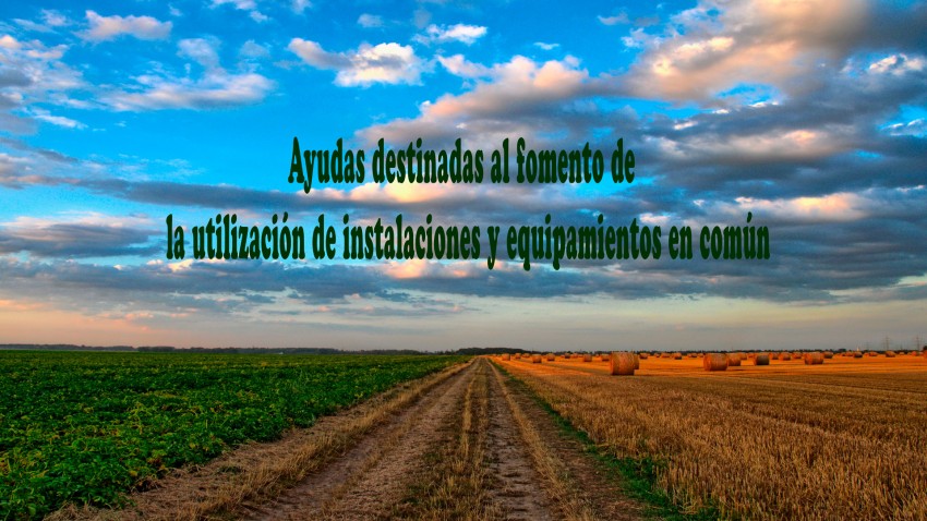 Ayudas destinadas al fomento de la utilización de instalaciones y equipamientos en común