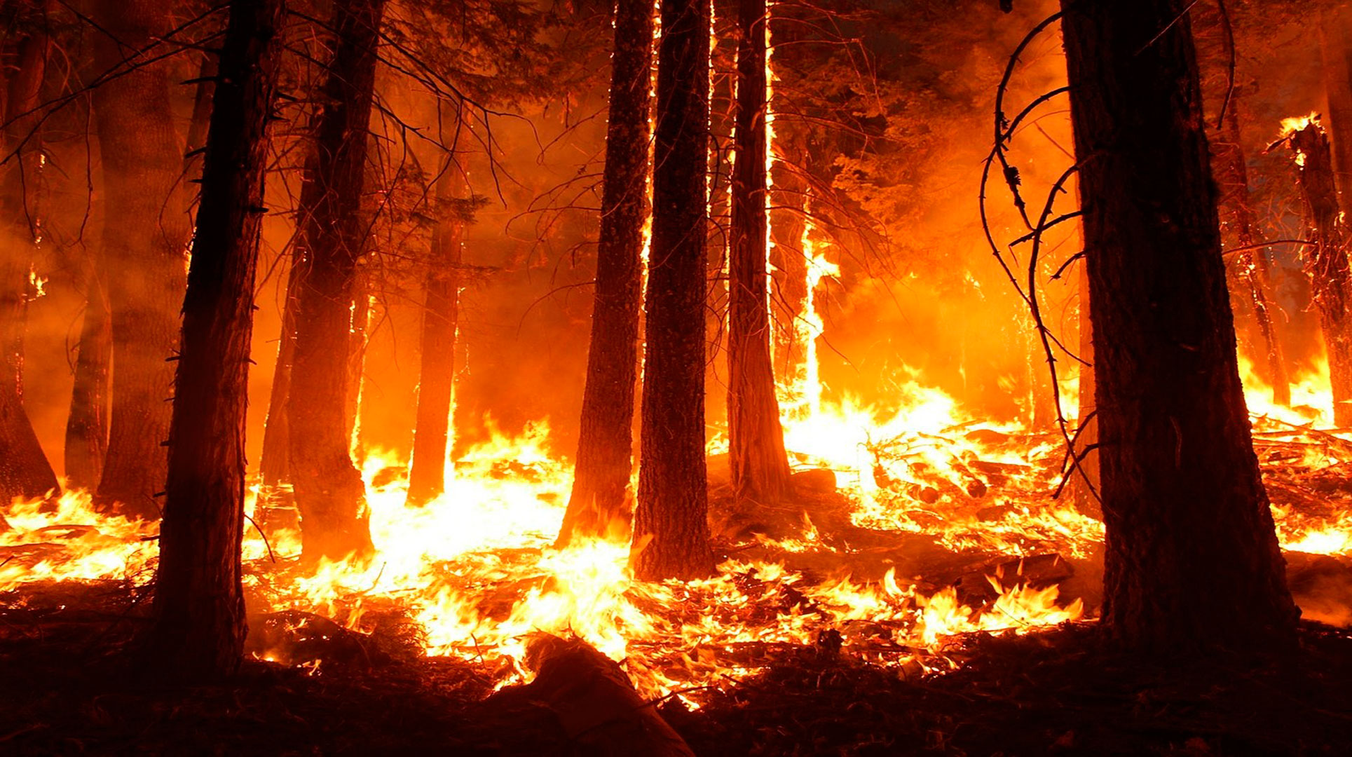 Prohibidas las quemas de agrícolas y forestales desde el día