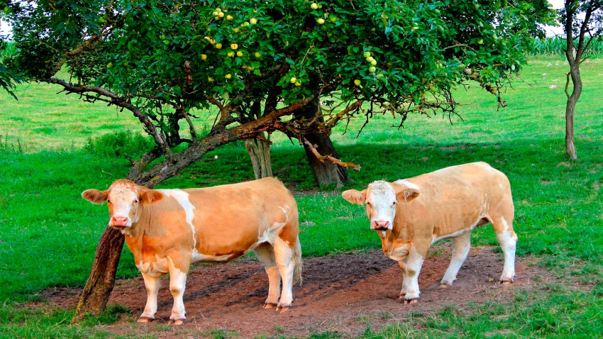 Convocada manifestación para el martes 6 de septiembre