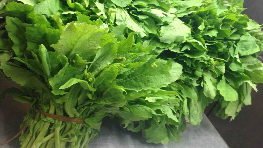 cultivo de las nabiza y grelos