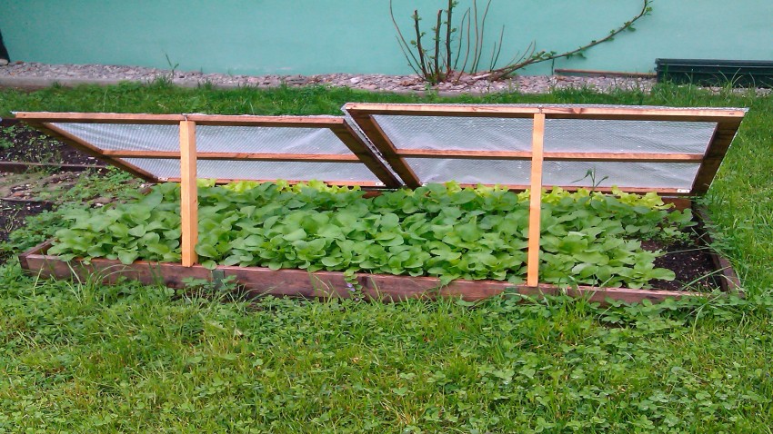 El huerto en septiembre