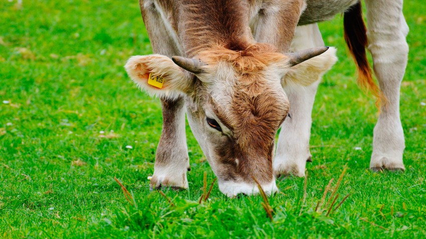 lactalis modifica las clausulas de sus contratos