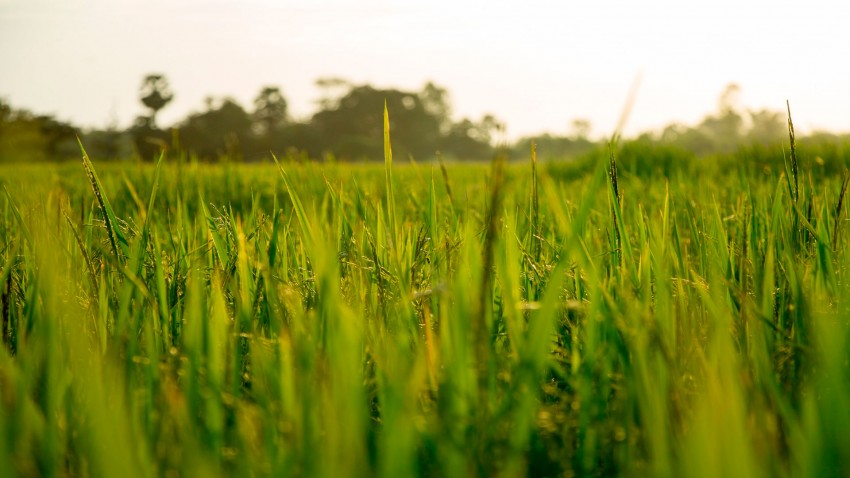 lista de beneficiarios del derecho de pago basico de la pac de 2015