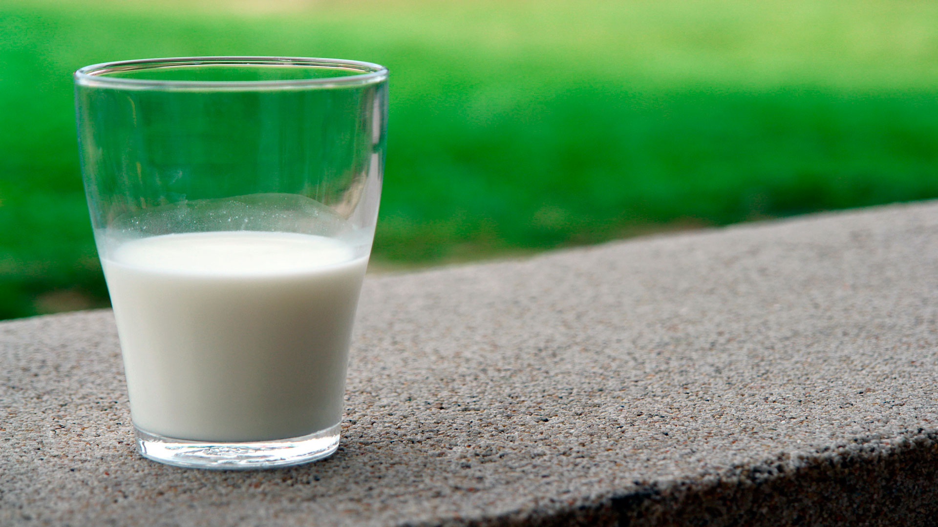 el 13 de diciembre jornada para apoyar el consumo de leche fresca