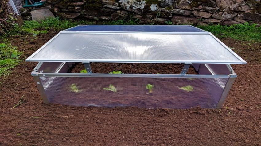 El huerto en Febrero