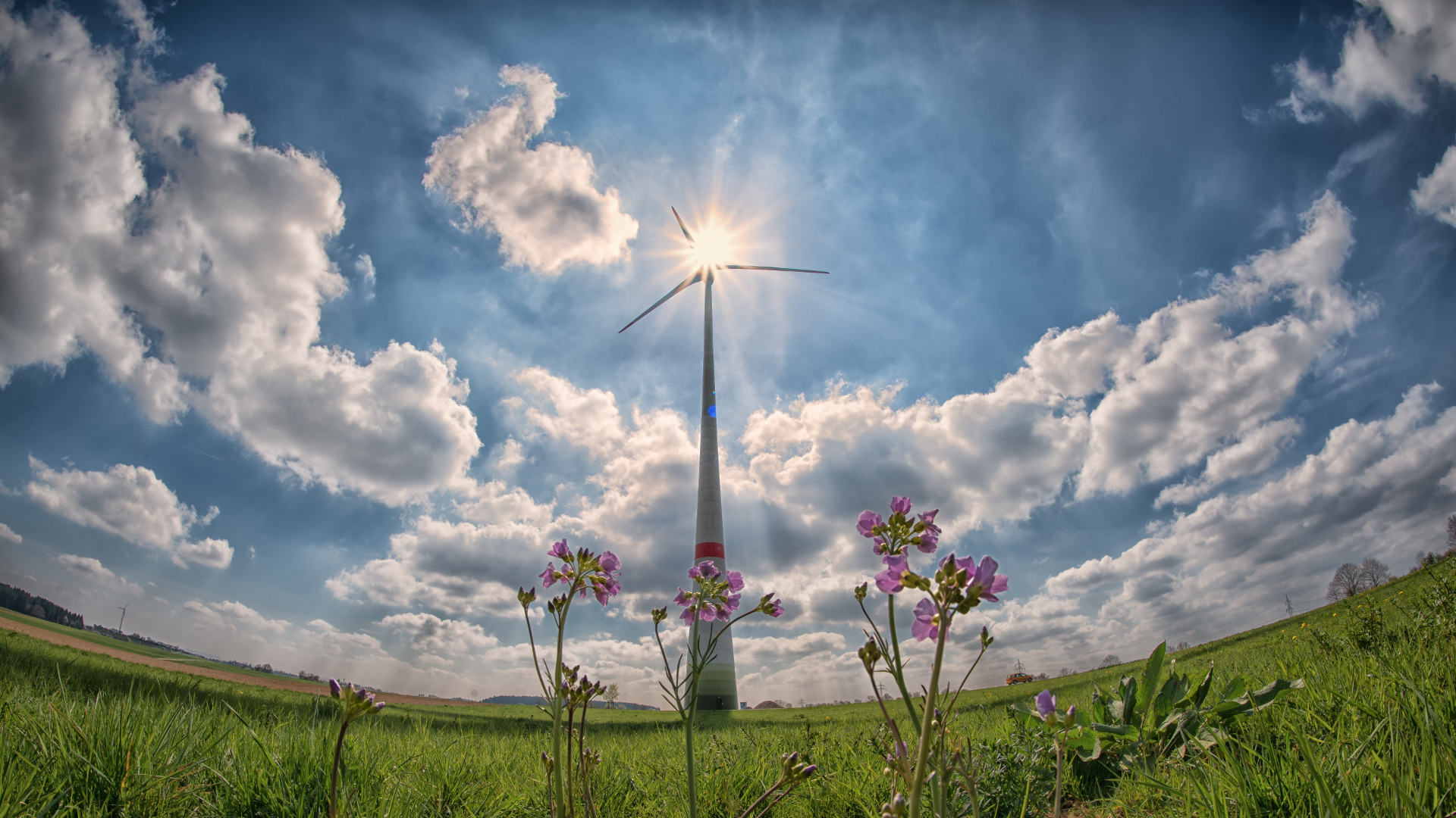 Ayudas para proyectos de energías renovables en el sector primario