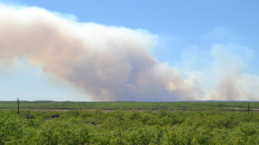 Plan piloto para recuperar tierras agrarias abandonada