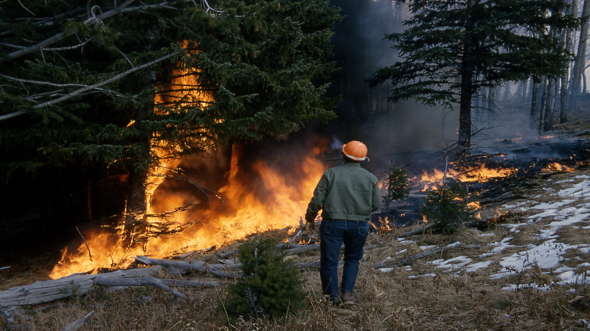 Cuál es la distancia a la que debemos limpiar para prevenir los incendios forestales