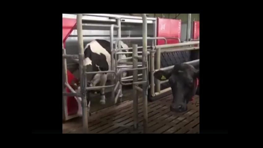 Granja atendida solo por robots