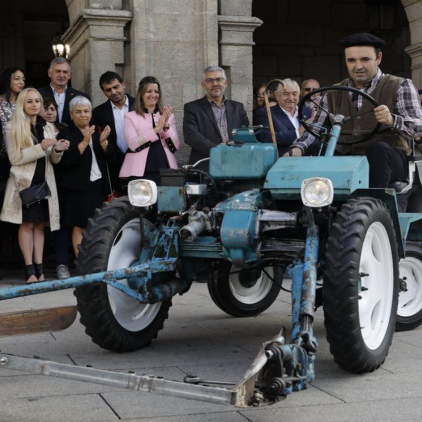 Desfile de ganado en San Froilán Lugo Agricultura