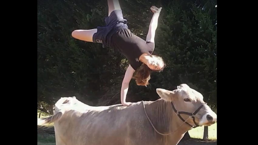 Cuando una vaca se cree un caballo.1920