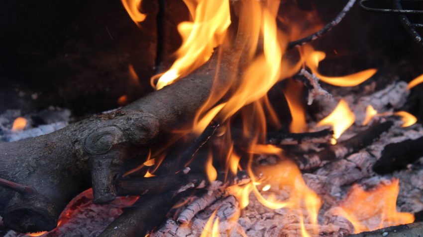 La investigacion de la ola de incendios del mes de octubre concluye que el 88 fueron intencionados.1920