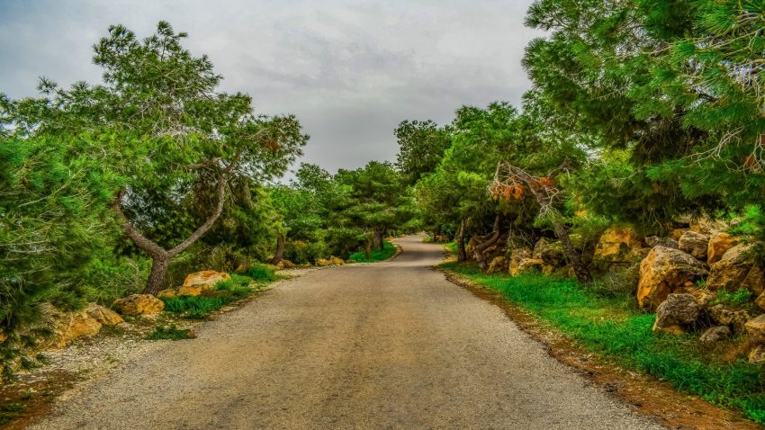 Ayudas a los concellos rurales gallegos para contratar desempleados.1920