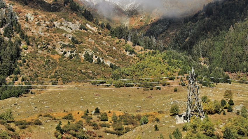 La Xunta pretende obligar a los propietarios a cortar el arbolado en los margenes de lineas electricas.1920