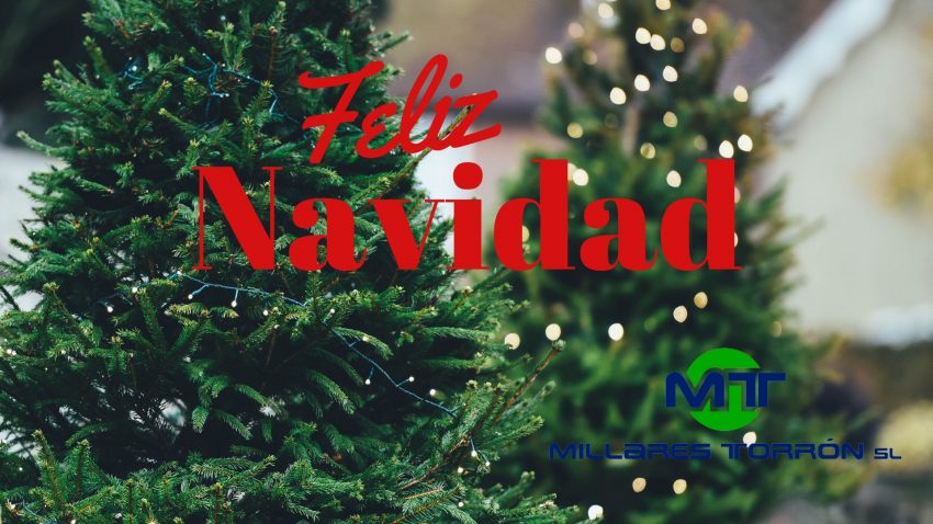 Feliz Navidad 18