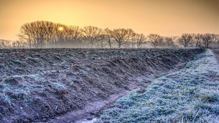 Publicada la Orden del Ministerio de Hacienda por la que se reducen los modulos agrarios para agricultores y ganaderos.1920
