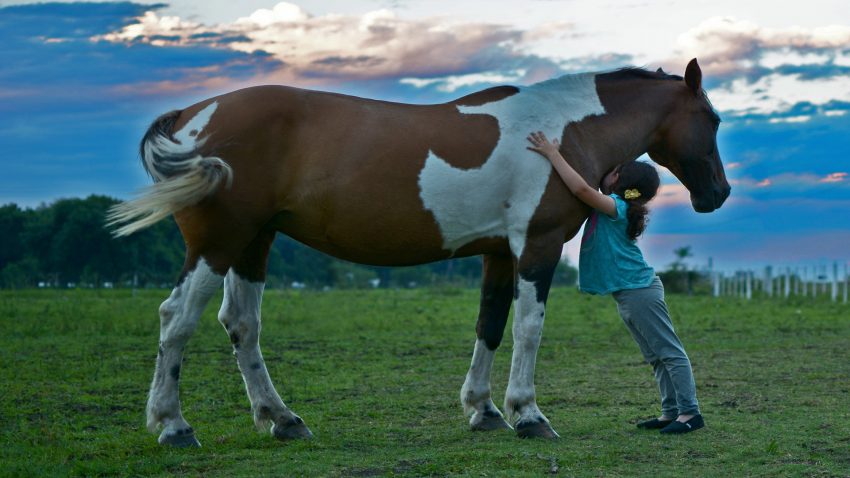 Ecologistas en Accion proponen unas medidas para intentar revertir el problema de la despoblacion rural 1920