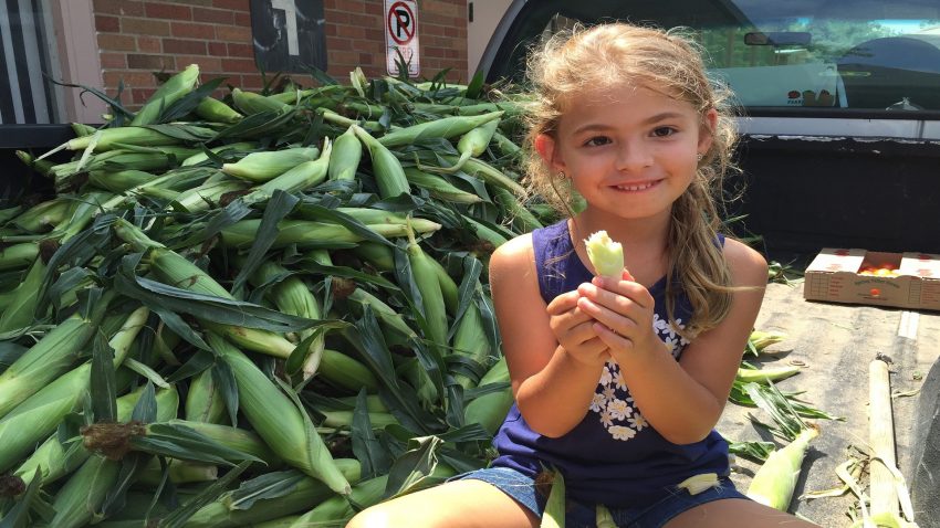 Austria tiene el mayor porcentaje de jovenes en la ganaderia y agricultura1920