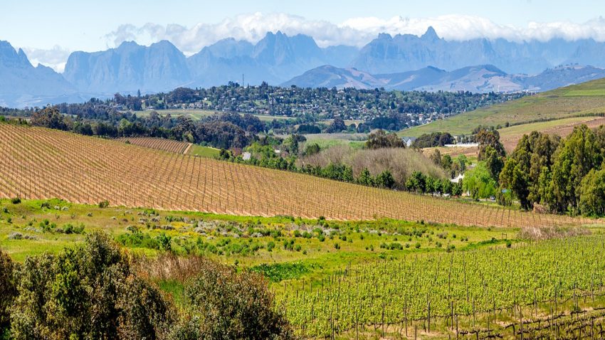 Las ayudas de la PAC se pagaran durante la primera quincena de diciembre 1920