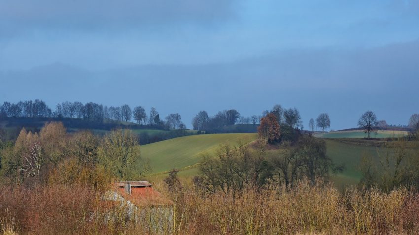 Negocian reducir a la mitad los titulares perceptores de la PAC para subirlas a los profesionales1920