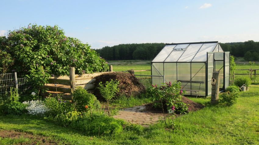 El huerto en Marzo 1920