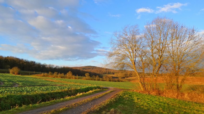 Empresas que tambien recibieron fondos de la PAC en 2019.1920
