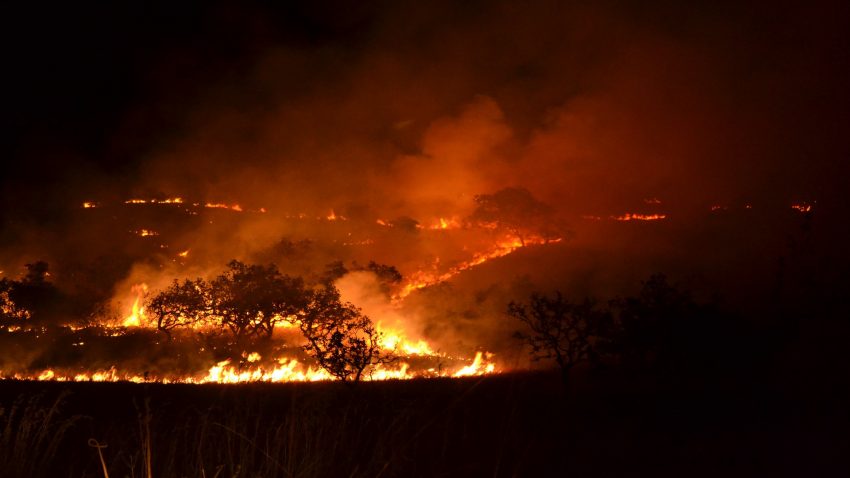 Prohibidas las quemas agricolas hasta el 30 de septiembre.1920