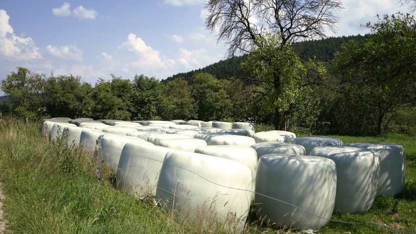 Buenas practicas en el cultivo el ensilado y en el manejo de los silos para reducir la presencia de micotoxinas.1920