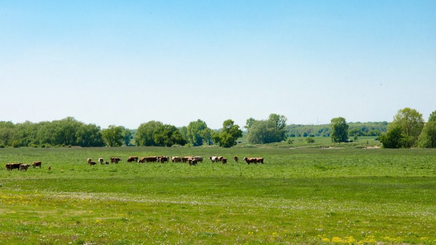 Las exigencias medioambientales de la PAC superadas con creces por los agricultores y ganaderos españoles1920