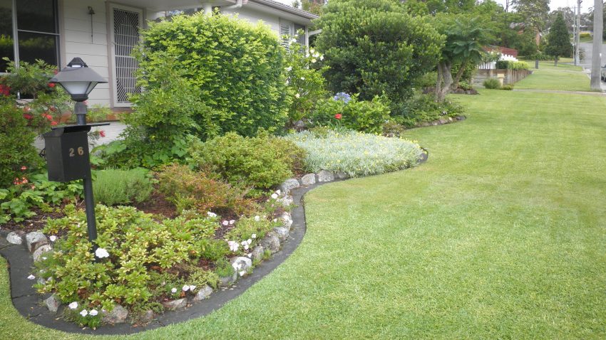 En otoño tambien hay que cuidar el jardin1920