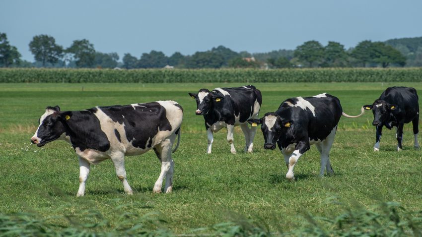 Hasta el 15 de diciembre se podra presentar la licencia para las ayudas de planes de mejora1920