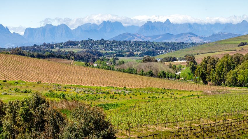 mas-ayudas-para-impulsar-proyectos-ecologicos-1920