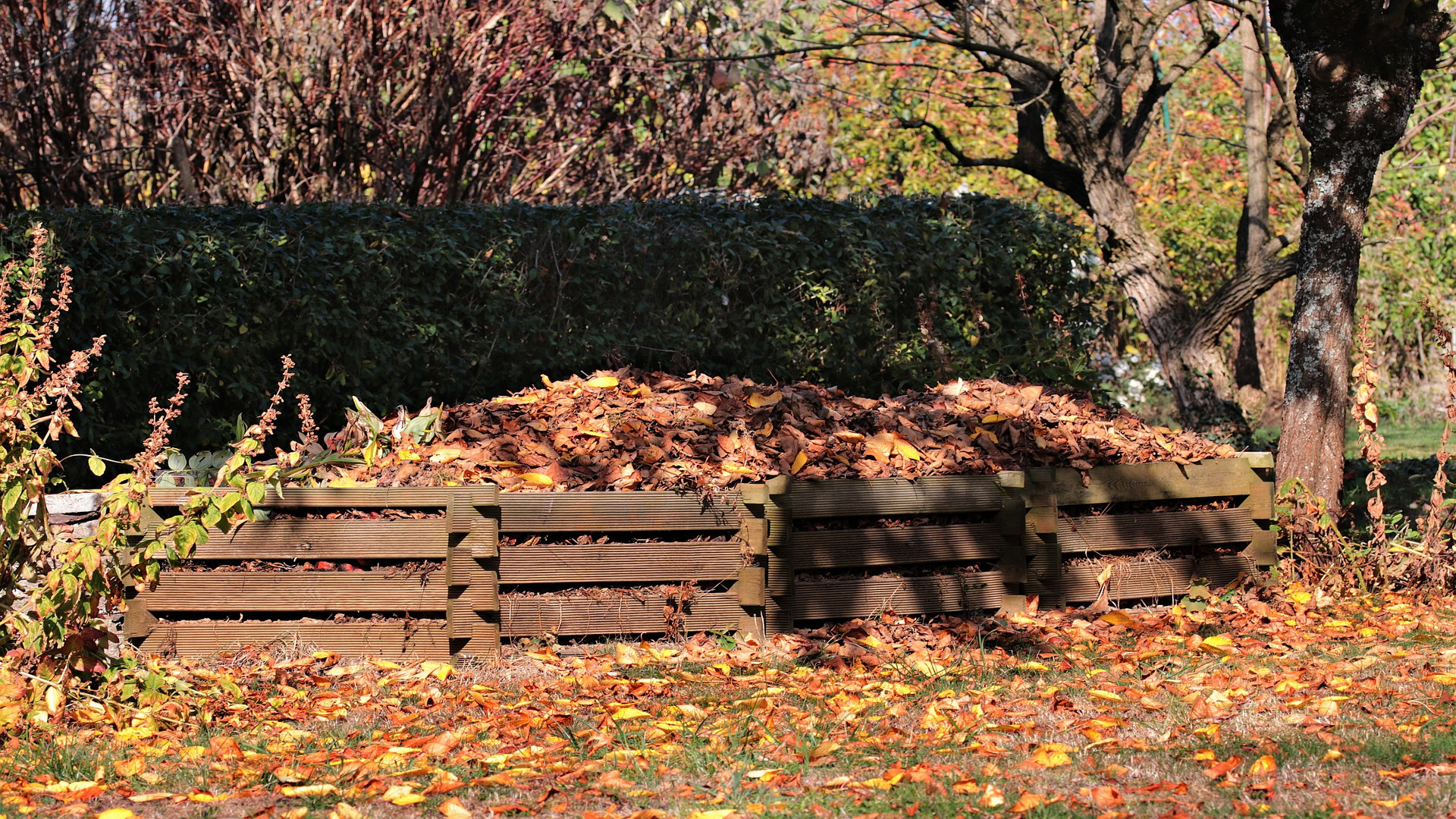 hacer-compost-de-las-hojas-secas-1920
