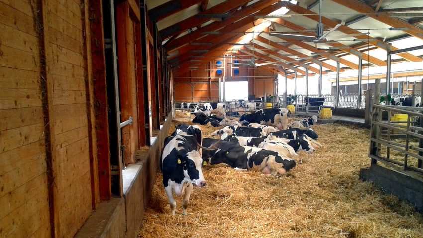 se-incrementa-en-40-millones-el-presupuesto-para-subvencionar-los-seguros-agrarios-1920