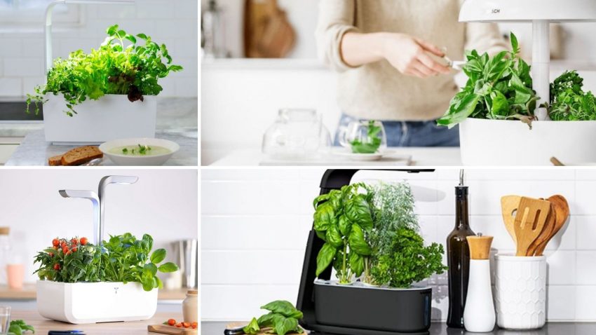 huertos-domesticos-1920