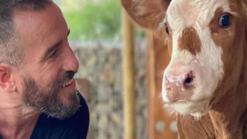 los-animales-tienen-una-bondad-que-no-tenemos-los-humanos-1920