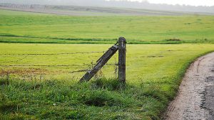 quieres-emprender-en-una-aldea-modelo-1920