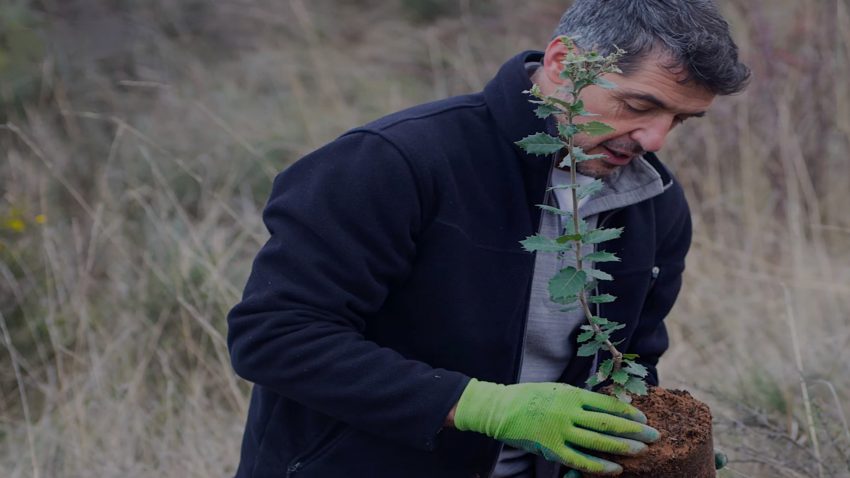 una-historia-con-mucha-vida-1920