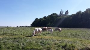 quieres-revisar-tu-expediente-de-la-PAC-1920