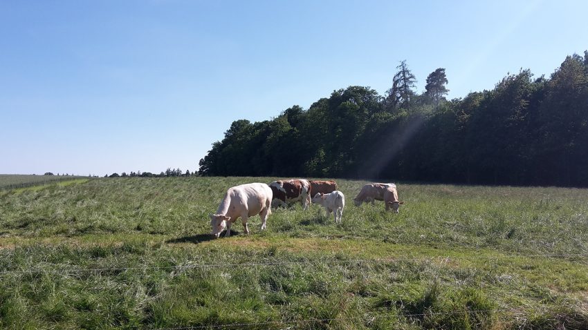 quieres-revisar-tu-expediente-de-la-PAC-1920