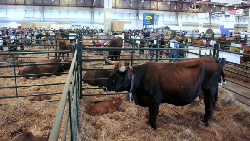 del-3-al-5-de-septiembre-se-celebra-abanca-semana-verde-de-galicia-1920