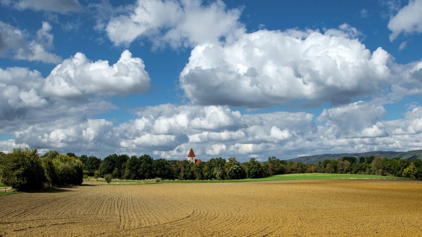 hasta-el-19-de-octubre-se-pueden-solicitar-las-ayudas-a-las-explotaciones-de-titularidad-compartida-1920