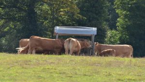 El-proximo-20-de-marzo-el-campo-gallego-se-manifestará-en-Madrid-1920