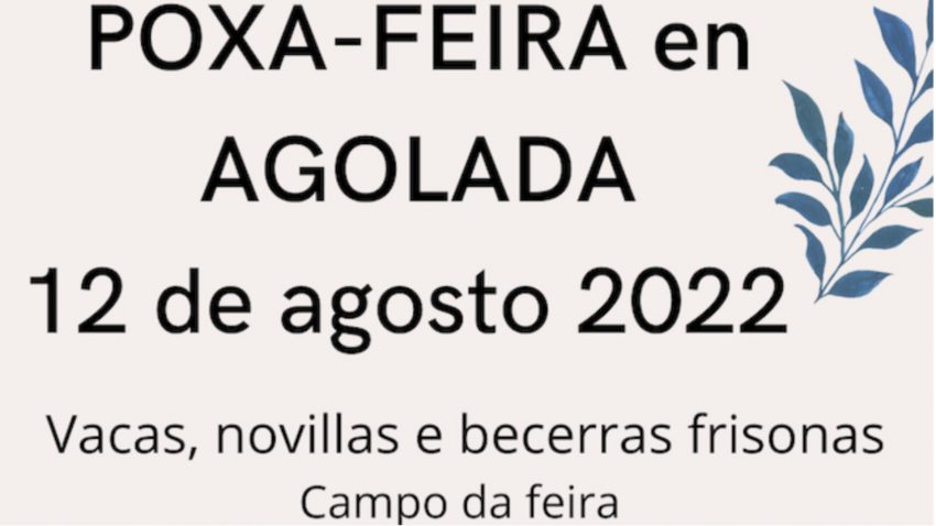 este-viernes-dia-12-de-agosto-agolada-acoge-una-subasta-de-vacuno-1920