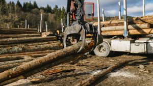 ayudas-para-la-digitalizacion-e-innovacion-en-la-industria-forestal-1920